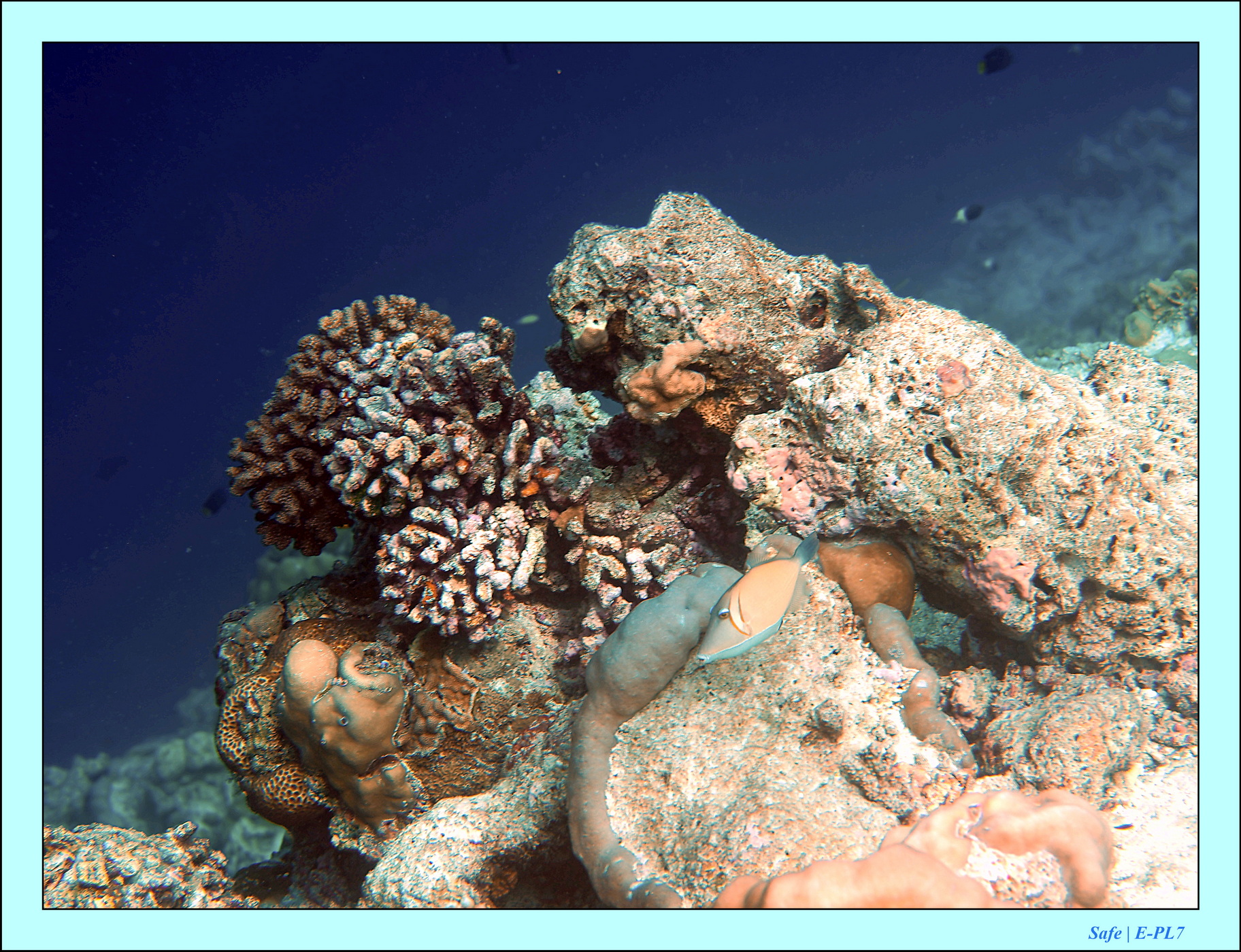 2023 - 07 - Sandies Bathala - 184